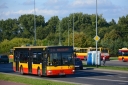 314_5BA4225D_Swiatowida_5B2013-09-045D.JPG