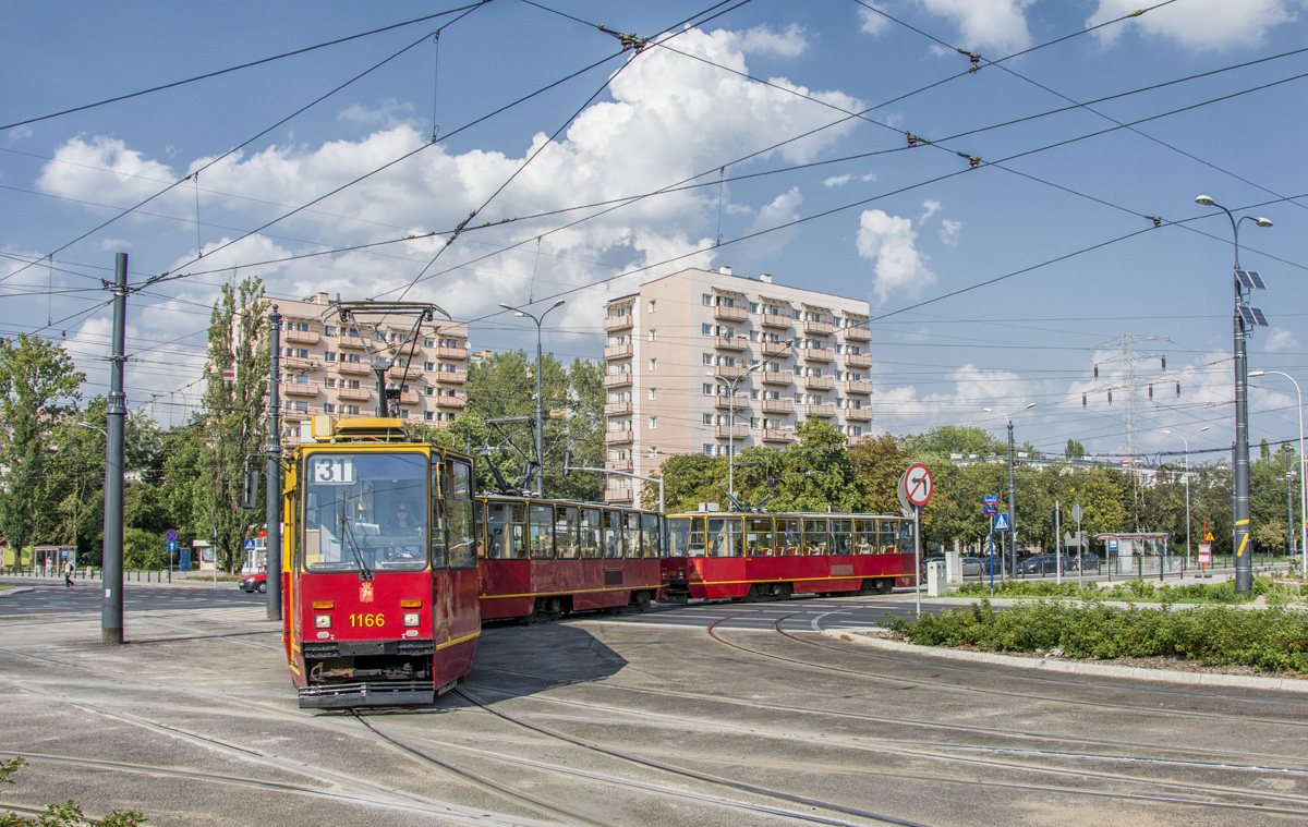 1166+1167+1139
Słowa kluczowe: PotrĂłjniak