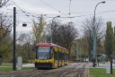 3502.jpg