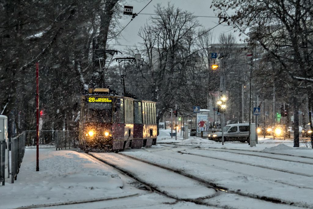 2010+2011
PrzebijajÄc siÄ przez ĹnieĹźycÄ.
Słowa kluczowe: Zima