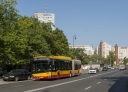 DSC_8441.jpg