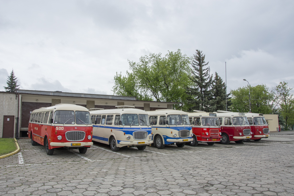 500
OgĂłrek z BiaĹegostoku.
Słowa kluczowe: NM2016 J043