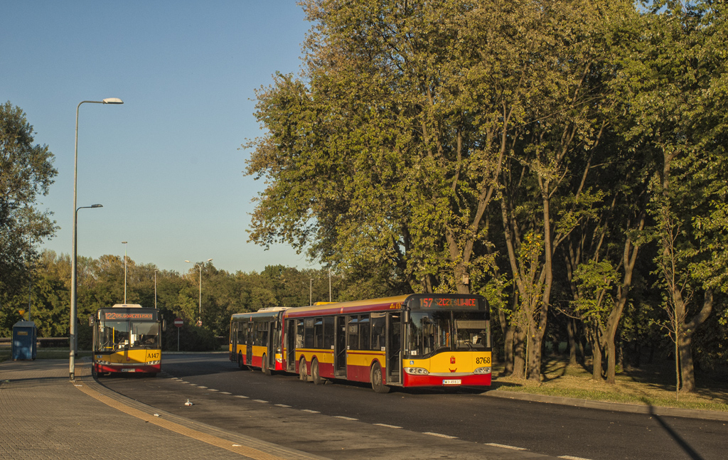8768
Trzy metry gratis.
Słowa kluczowe: DziwadĹo SU15