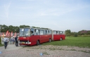26124.jpg