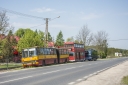313.jpg