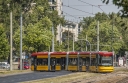 3616.jpg