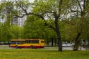 4795.jpg