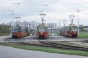 497.jpg