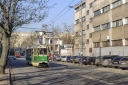 5_rogalinska.jpg
