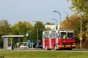 650485.jpg