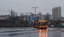 7335.jpg