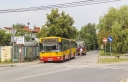 7871.jpg