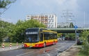 9516.jpg
