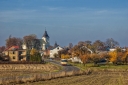 ELC_F867.jpg