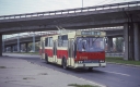T003.jpg