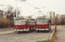 T017.jpg