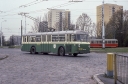 T019.jpg