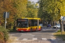 a235.jpg