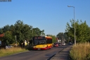736.jpg