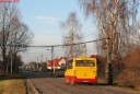 srolinka.jpg
