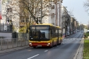 A237.jpg