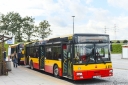 nl223.jpg