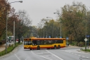 6932.jpg