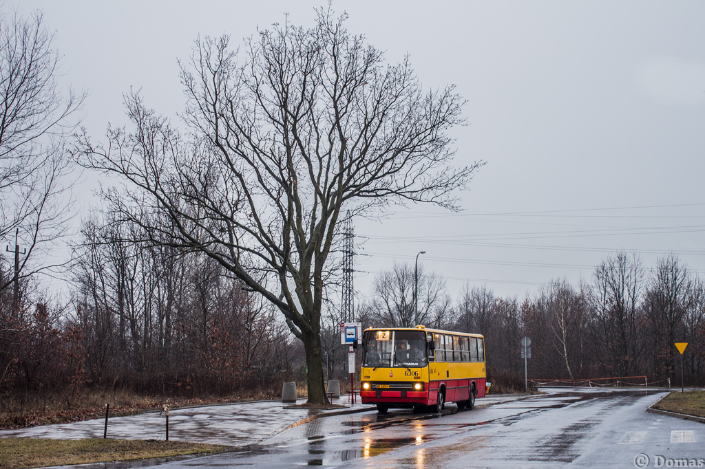 6306
Słowa kluczowe: TGKMNZ3 IK260