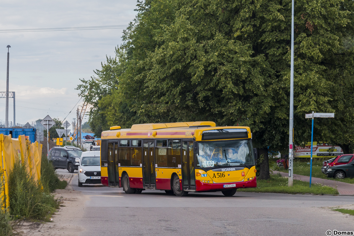 A516
Słowa kluczowe: DziwadĹo