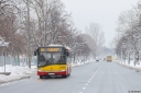 1008_Zupnicza.jpg