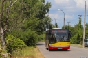 1057_Paluch.jpg