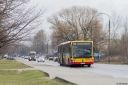 2229_Woycickiego.jpg