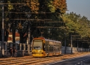 3111_Filtrowa.jpg