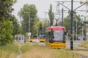 3801_ZgrupowaniaAKKampinos.jpg