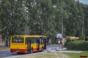 4741.jpg