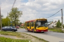 4904_Berensona.jpg