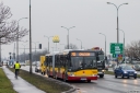 5201_Polczynska.jpg