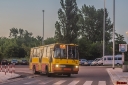 6306.jpg