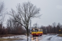 6306_CmPolnocnyBrPld.jpg