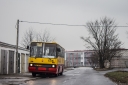 6306_Himalajska.jpg