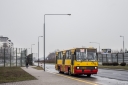 6306_Maczka.jpg