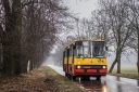 6306_Zaborowek.jpg