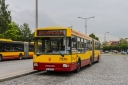 7970_Wilanow.jpg