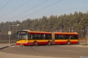 8136_Antoninow.jpg