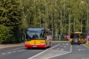 8764_Bolimowska.jpg