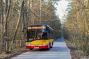 9201_palmirskadroga.jpg