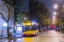 9219_Saska.jpg