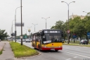 9311_Polczynska.jpg