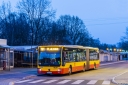 9828_CmPolnocnyBramaGl.jpg