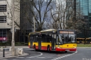 A137_Miedzyparkowa.jpg